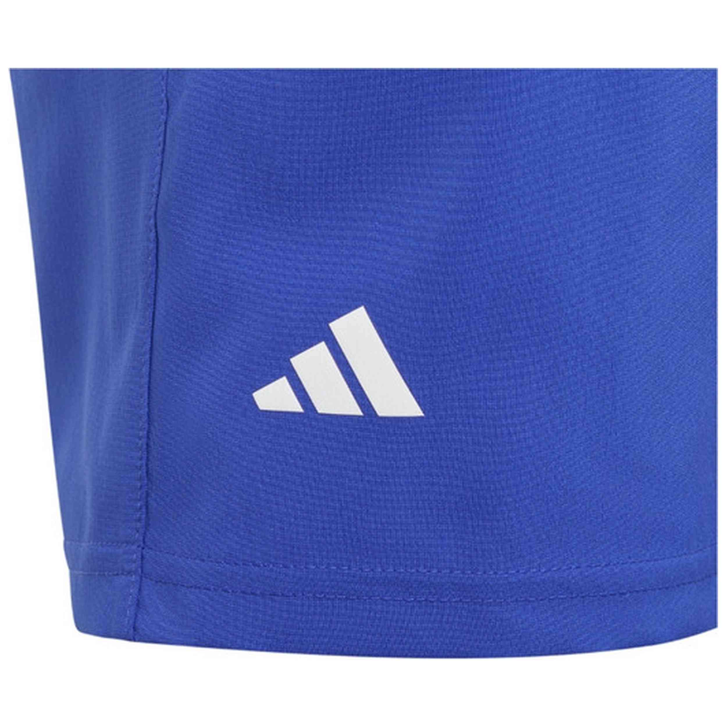 Imagen 4 del producto con referencia IM5501-AZUL